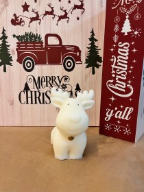 ΡΟΥΝΤΟΛΦ ΤΟ ΕΛΑΦΑΚΙ